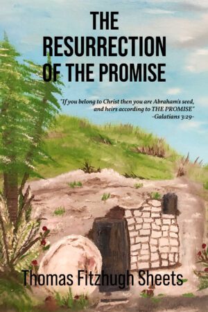 The Resurrection of the Promise - KINDLE
