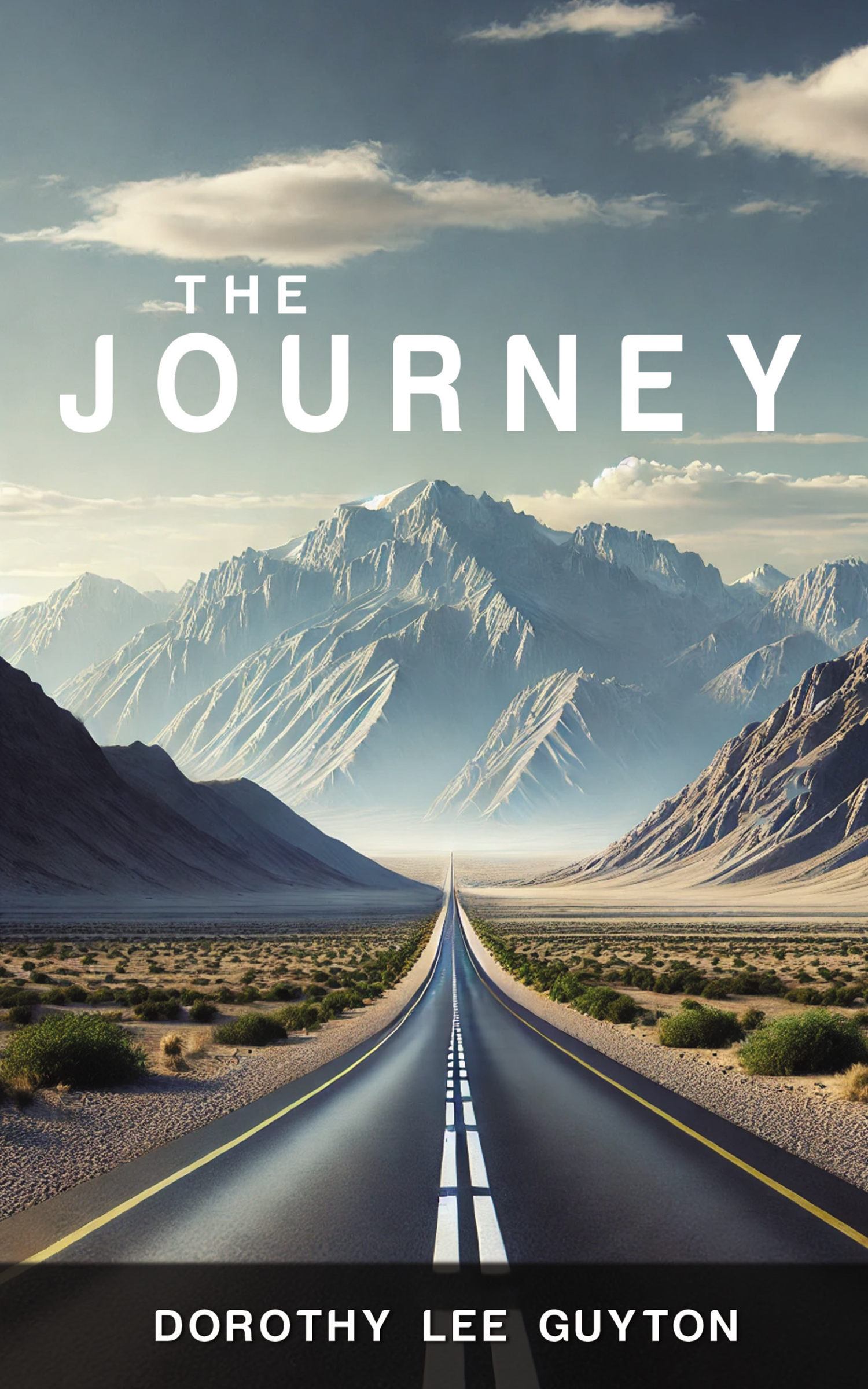 The Journey - HARDBACK